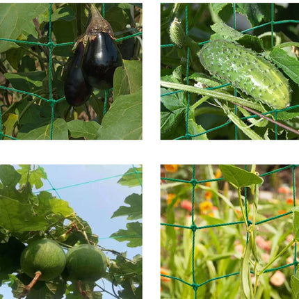 High-quality Nylon Plant Trellis Strong Garden Climbing Netting Heavy Duty Mesh Net for Cucumber Tomato Grape Garden Accessories