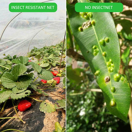 Garden Insect Protection Net Plant Vegetables Fruit Care Cover Flowers Greenhouse Pest Control Anti-Bird Protective Net 60 Meshs