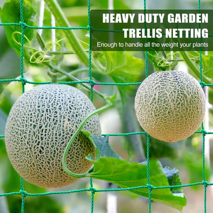 High-quality Nylon Plant Trellis Strong Garden Climbing Netting Heavy Duty Mesh Net for Cucumber Tomato Grape Garden Accessories