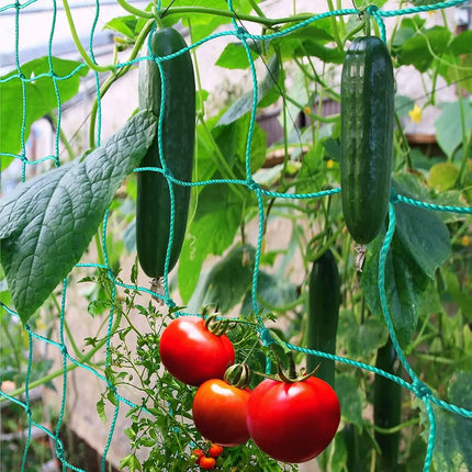 High-quality Nylon Plant Trellis Strong Garden Climbing Netting Heavy Duty Mesh Net for Cucumber Tomato Grape Garden Accessories