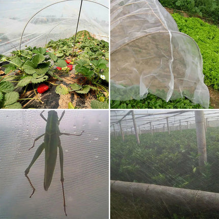 Garden Insect Protection Net Plant Vegetables Fruit Care Cover Flowers Greenhouse Pest Control Anti-Bird Protective Net 60 Meshs