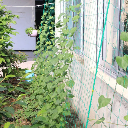 1pc Hi-quality Nylon Garden Netting Loofah Morning Glory Flowers Vine Plants Climbing Net Cucumber Vine Grow Holder Brackets