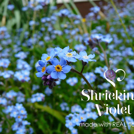 Botanical jewellery for women