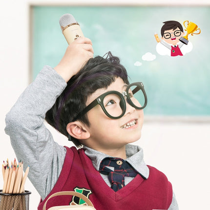 C20 Plus multifunctional Bluetooth karaoke speaker