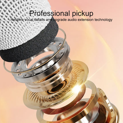 C20 Plus compact portable Bluetooth karaoke speaker