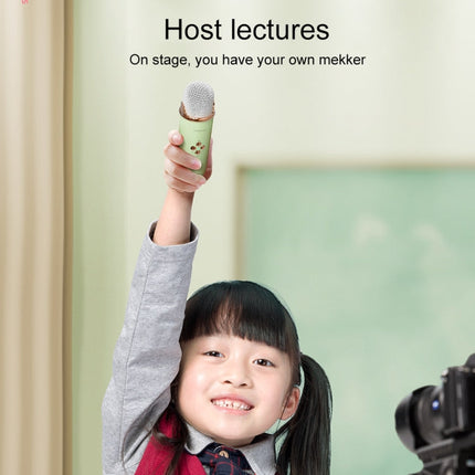 C20 Plus Bluetooth speaker rechargeable battery