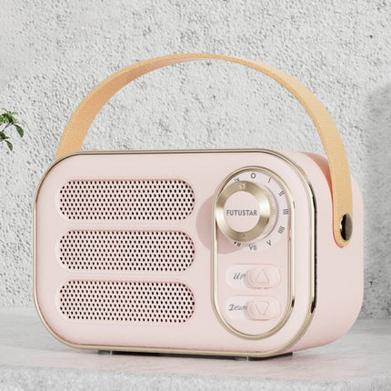 DW13 mini retro Bluetooth speaker front view