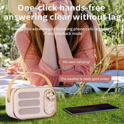 DW13 portable Bluetooth speaker for travel