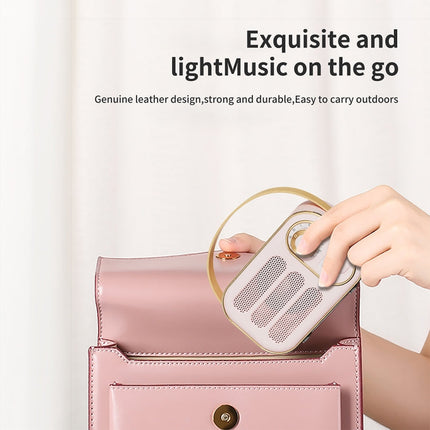 DW13 retro-style Bluetooth speaker details