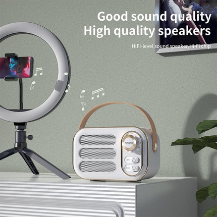 DW13 Bluetooth speaker TF card and USB playback