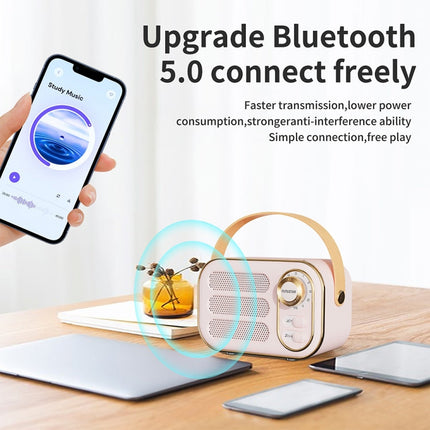 DW13 Bluetooth speaker Type-C charging port