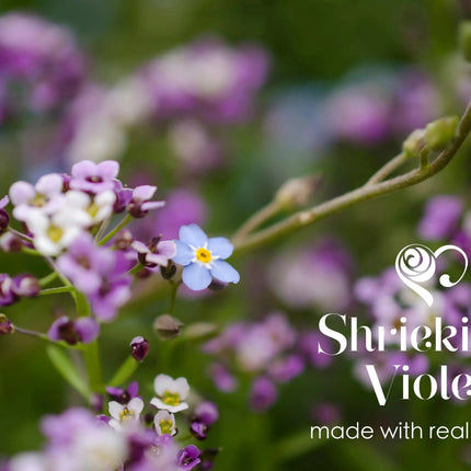 Gift-ready Shrieking Violet® floral earrings with box