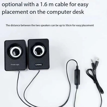 Compact desktop speaker